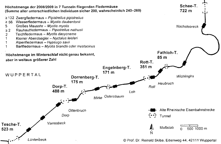 nordbahntrasse_fledermaeuse