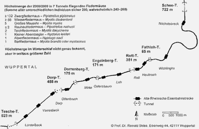 nordbahntrasse_fledermaeuse