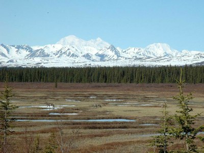 Denali