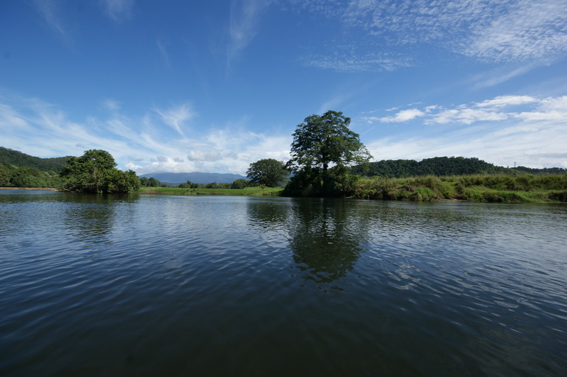 Daintree River