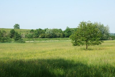 De Bruuk bei Groesbeek