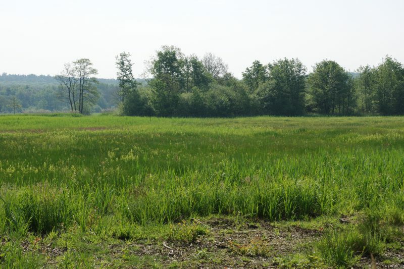 De Bruuk bei Groesbeek