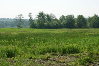 De Bruuk bei Groesbeek