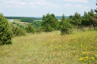 Hönselberg