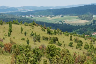 Hönselberg