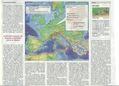 Ameisen sollen Erdbeben voraussagen