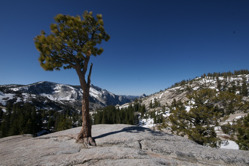 Yosemite National Park