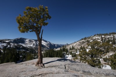 Yosemite National Park