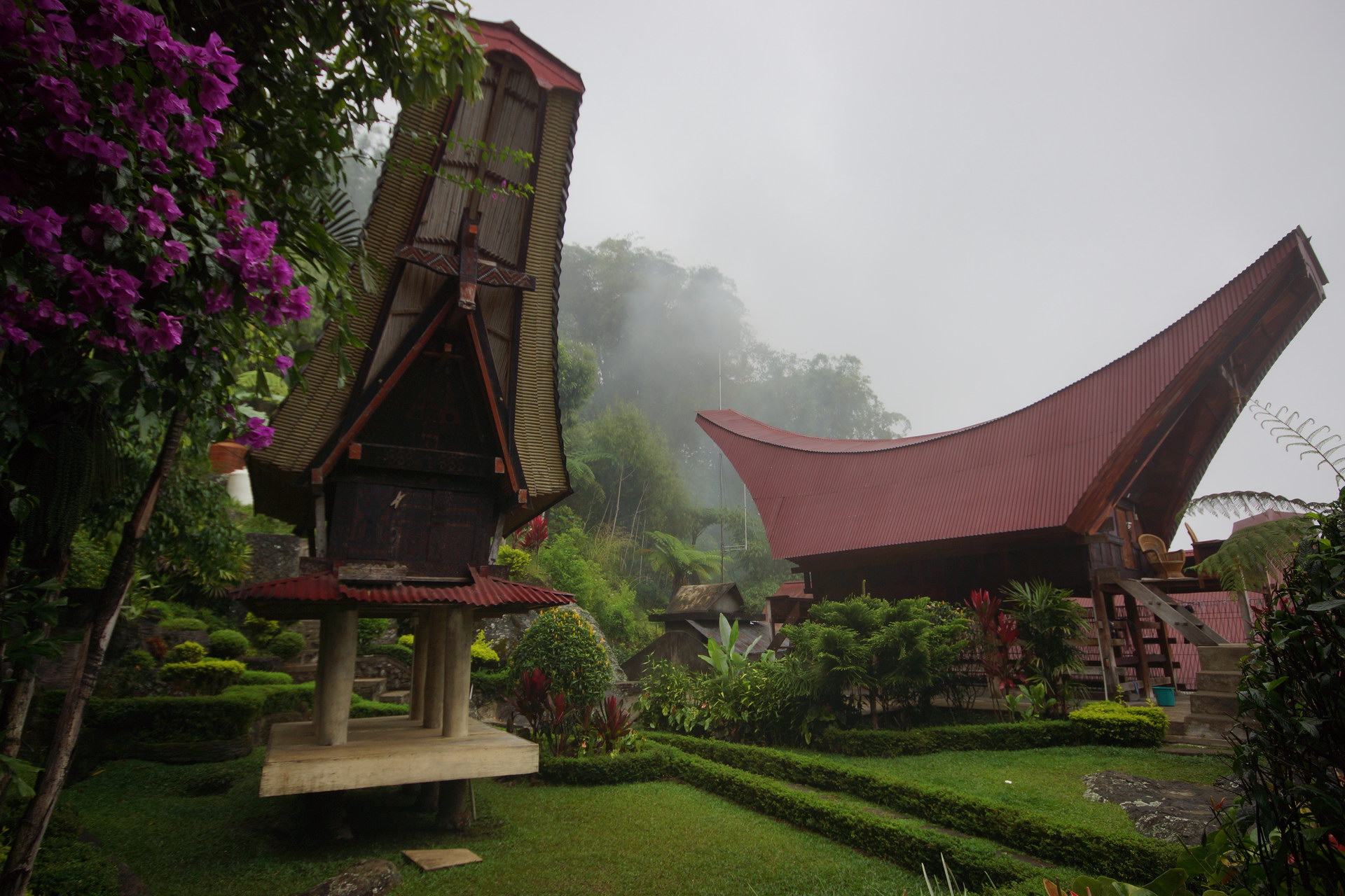 Sulawesi - Kannenpflanzen und Geweiheber (und noch vieles mehr)