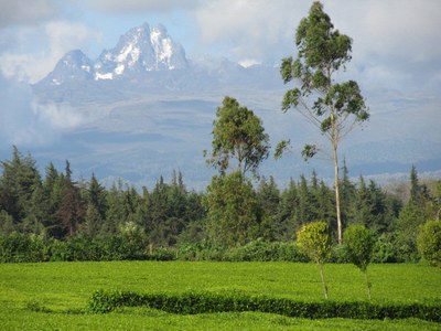 Mount_Kenya_20111117.jpg