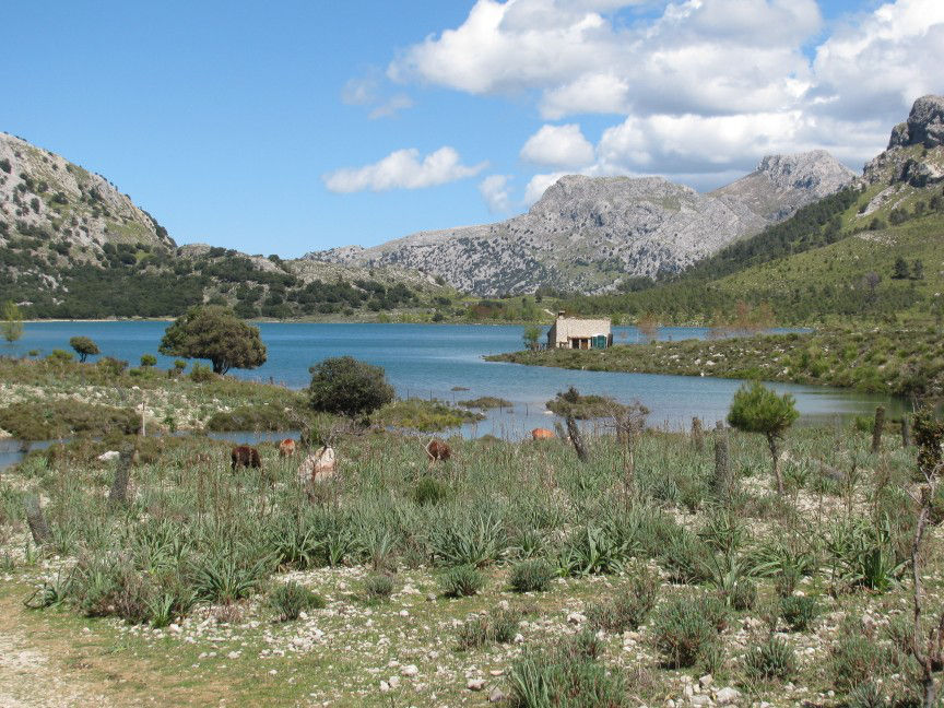 Cuber_Stausee_Mallorca_2014.04.21_kl.jpg