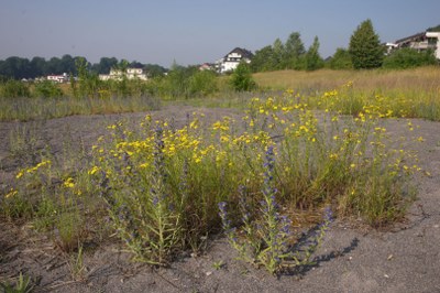 Naturschutzgebiet Eskesberg