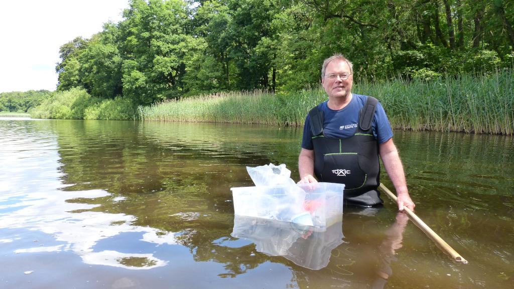 Probenahme Brinkenweiher