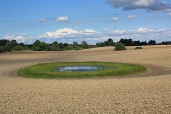 Heideweiher