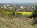 Scherfede