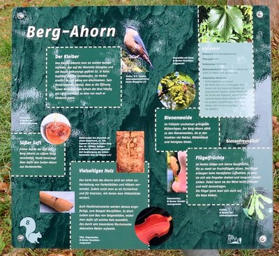 Baumtafel in den Barmer Anlagen