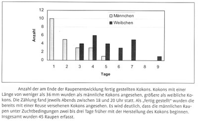 Verpuppung Männchen - Weibchen