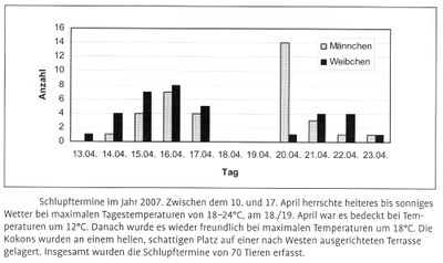 Schlupftermine