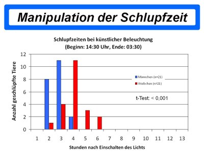 Manipulation Schlupfzeit