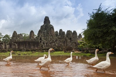 Bayon