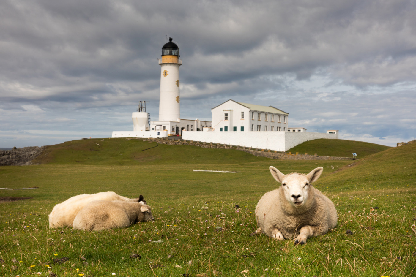 Die Shetlandinseln   