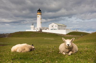Die Shetlandinseln   