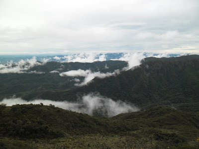 Mata Atlantica