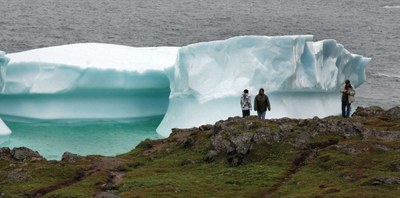 Eisberge in Neufundland