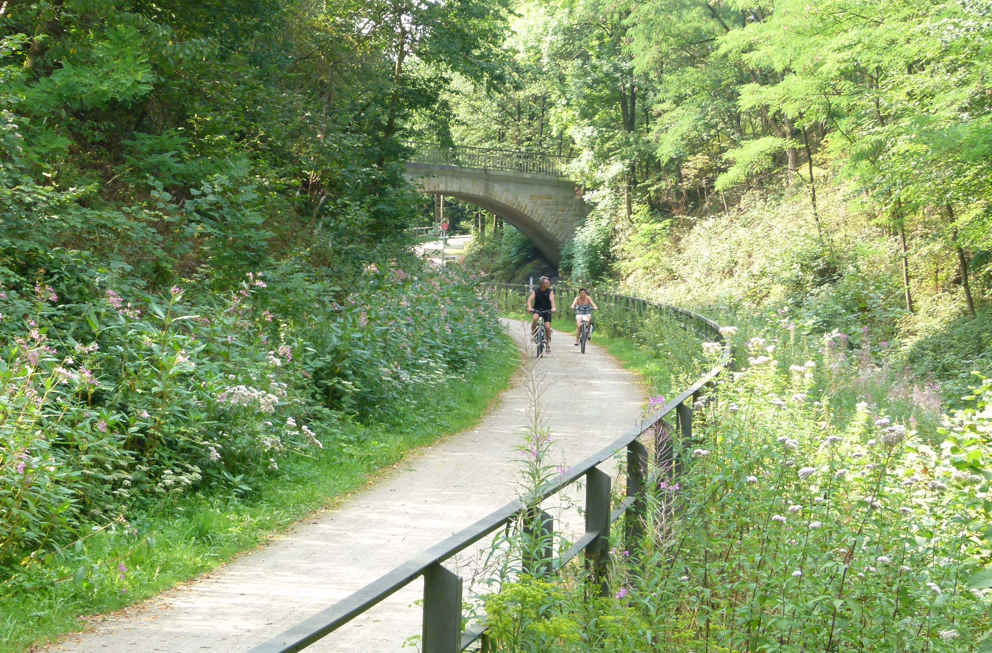 Kohlenbahntrasse bei Schee