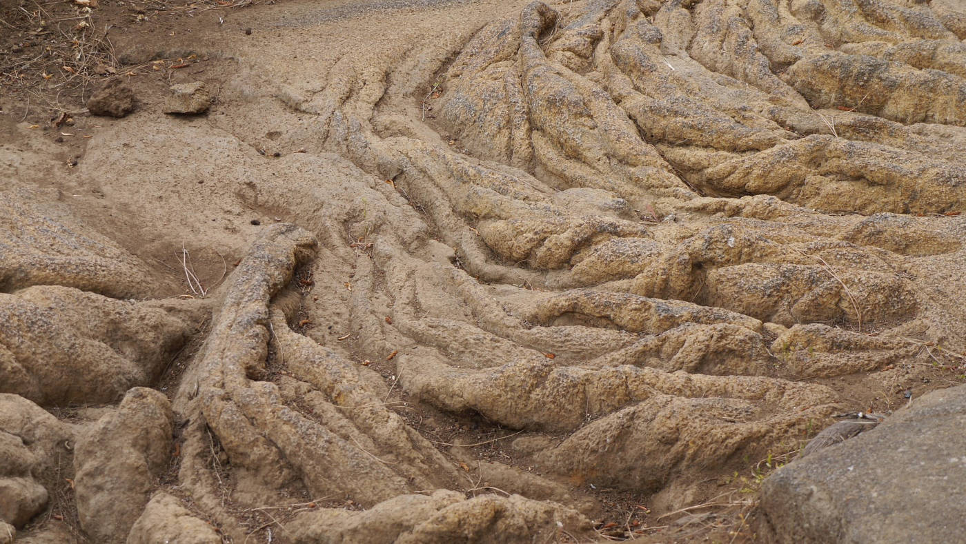 1960 Cueva del Viento.JPG