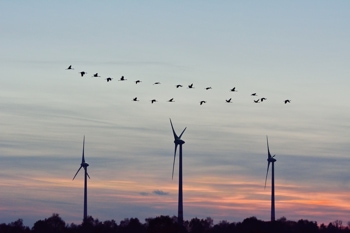 Windkraftanlagen