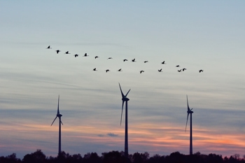 Windkraftanlagen